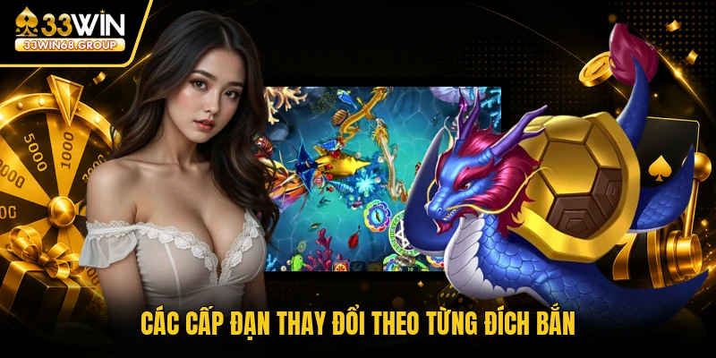 Các cấp đạn thay đổi theo từng đích bắn