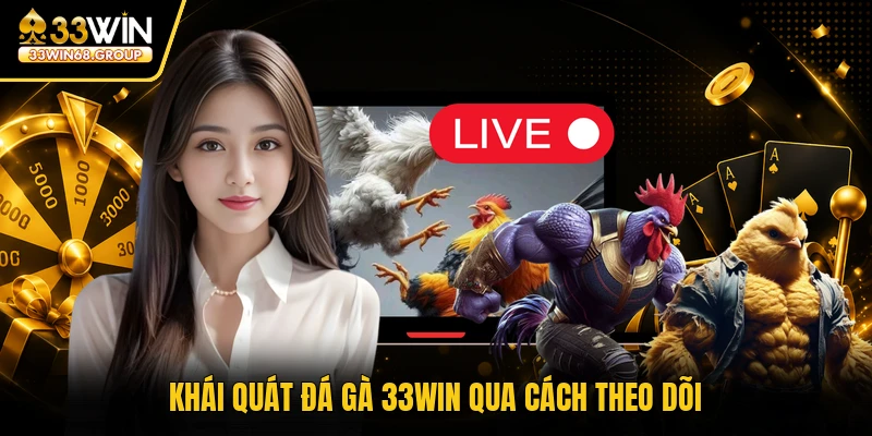 Khái quát đá gà 33WIN qua cách theo dõi